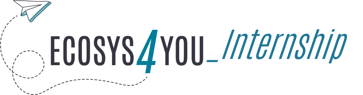 Logo Ecosys4you Internship