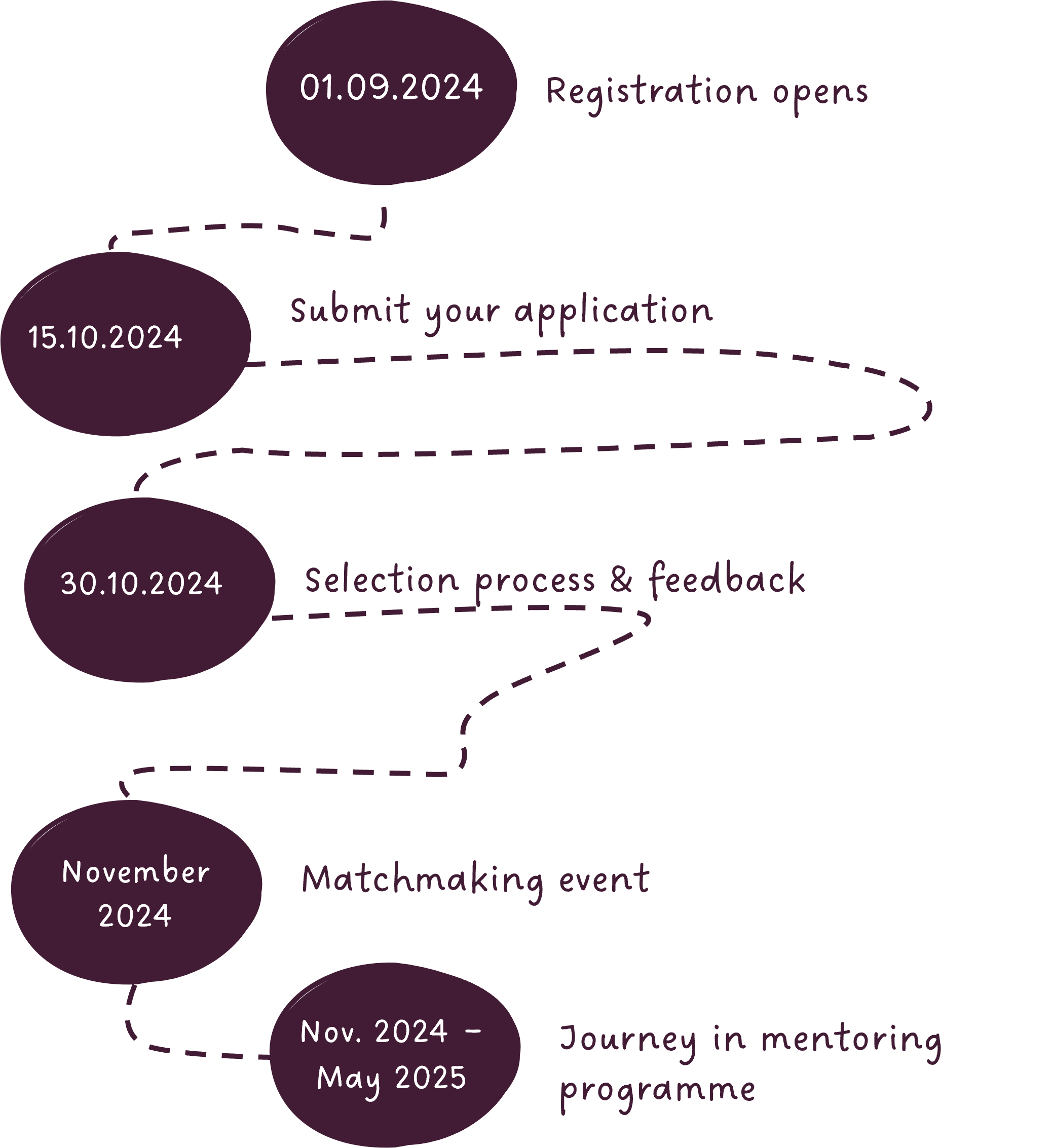 The picture presents the deadlines and dates of the mentoring journey from application to finishing the programme.